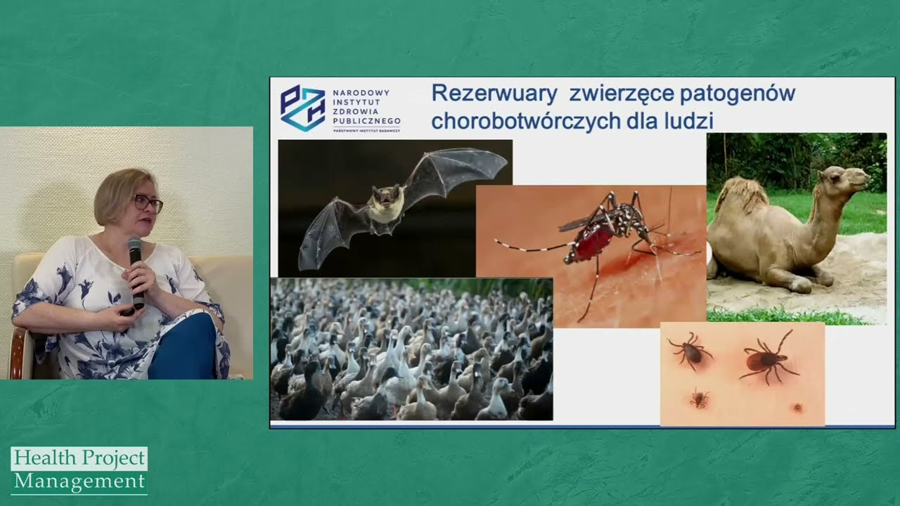 Infekcje wirusowe – epidemiologia 2024